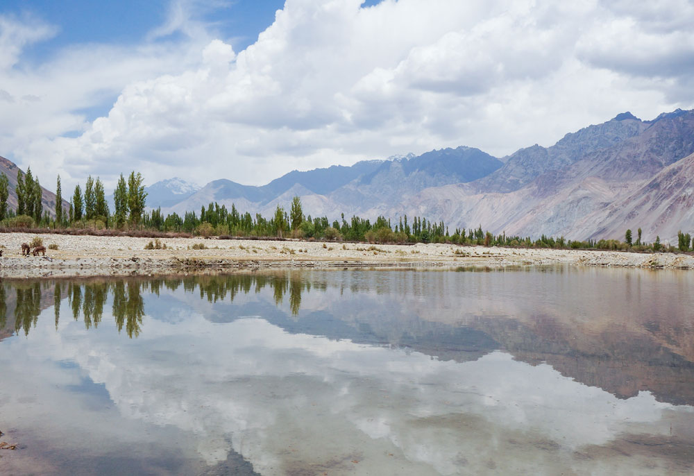Day 2: Leh → Khardung La Pass → Nubra Valley